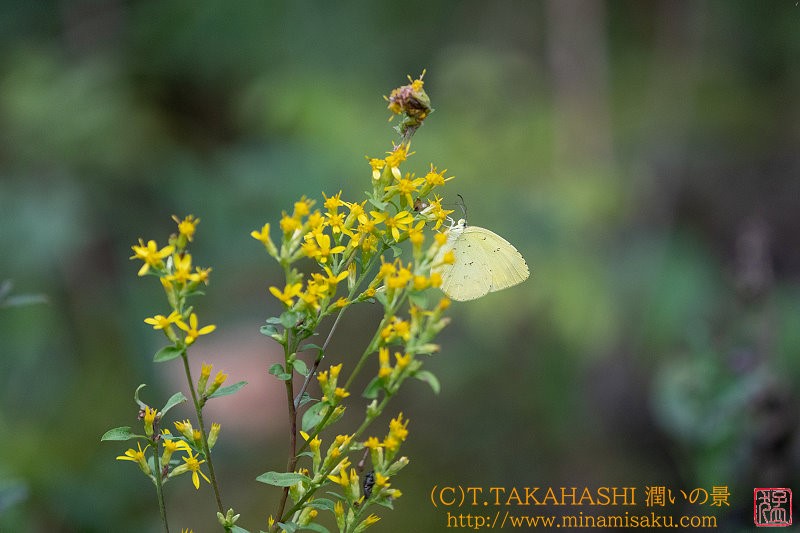 ../Images/7R240914 (195).jpg